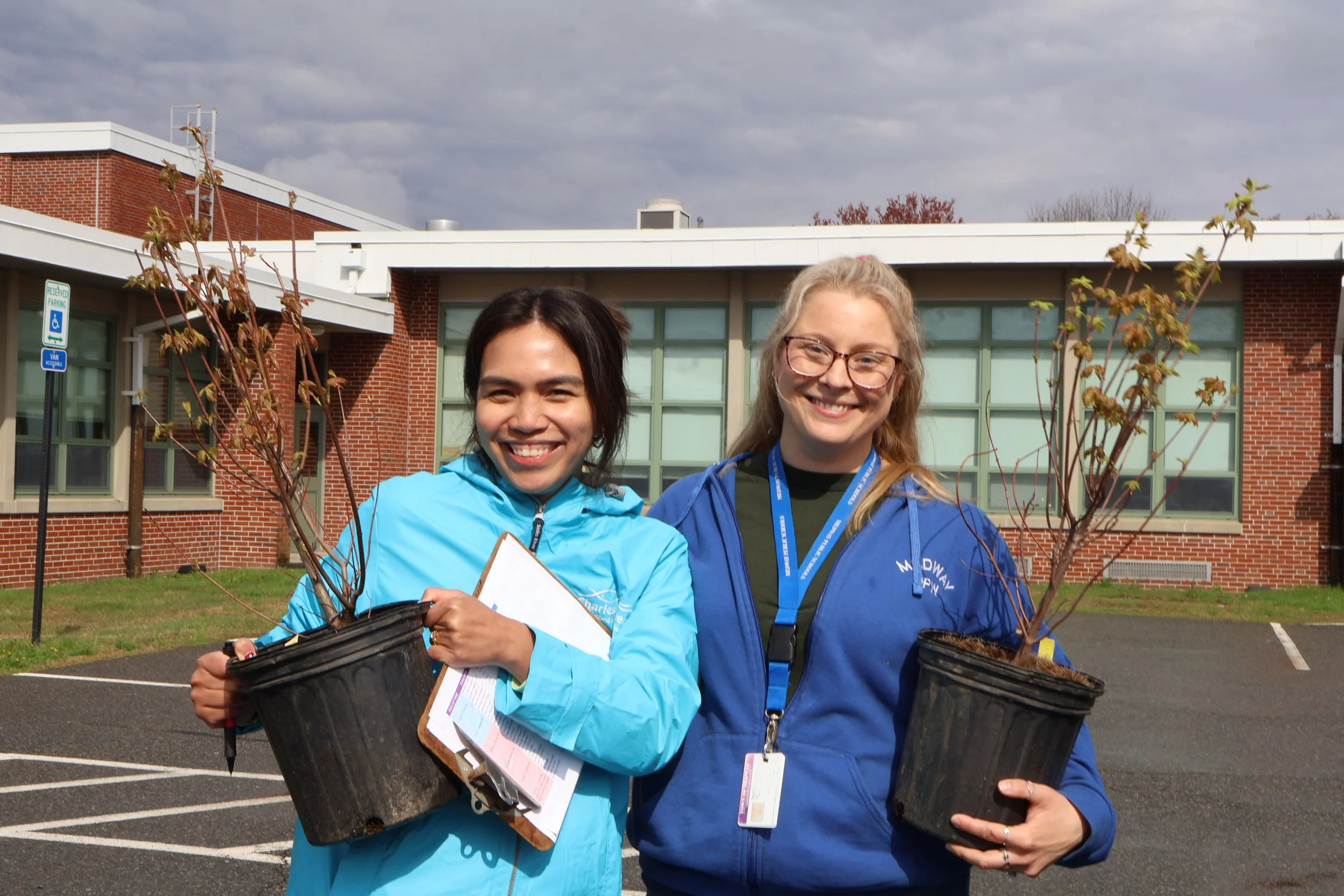Going Green: Medway Tree Giveaway