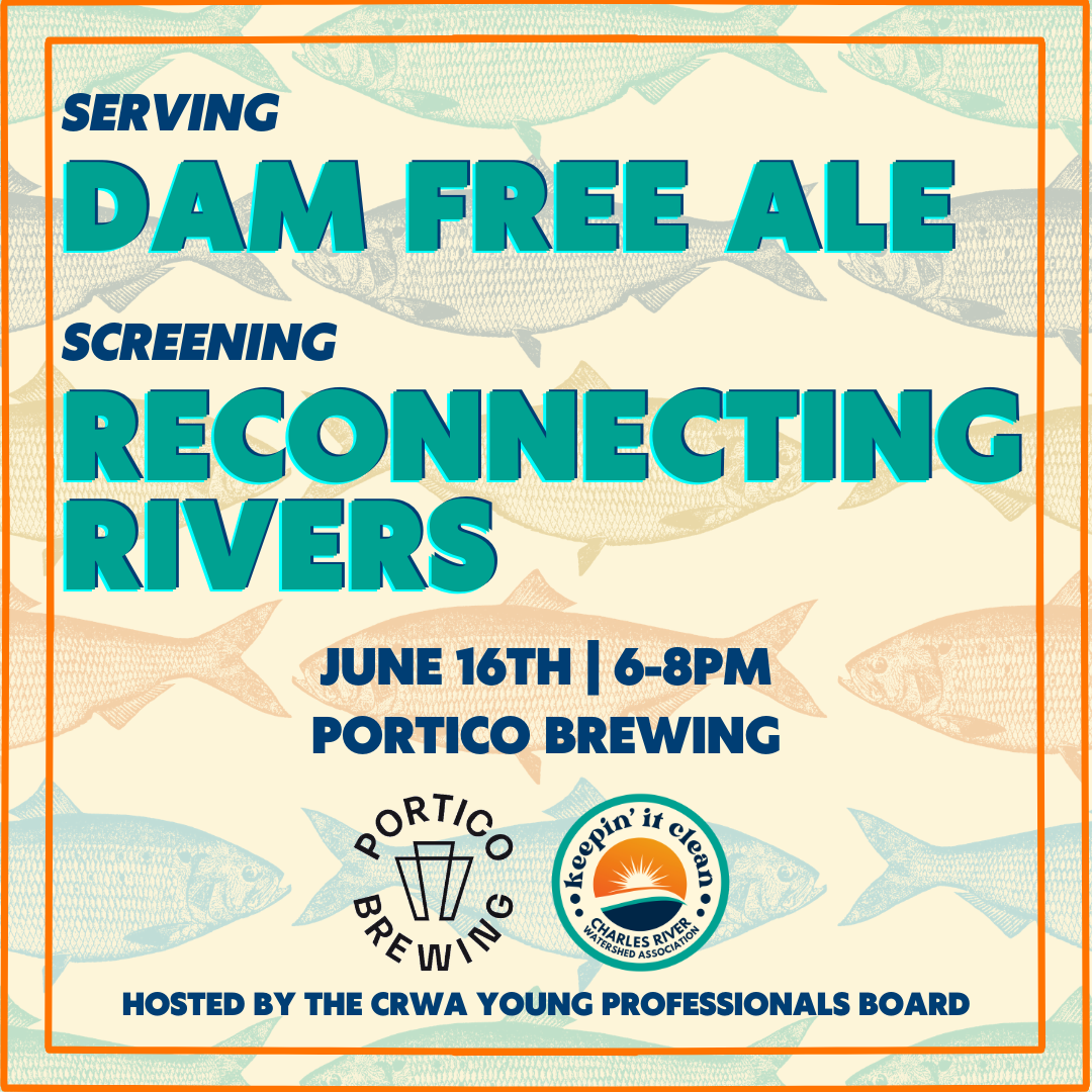 Reconnecting Rivers Screening at Portico Brewing