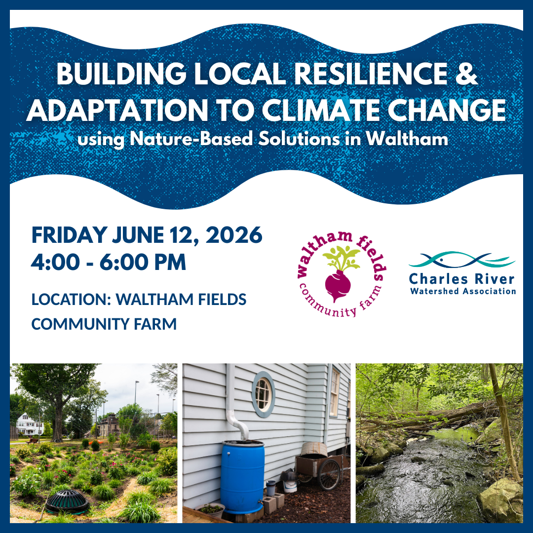 Building Local Resilience &amp; Adaptation to Climate Change in Waltham