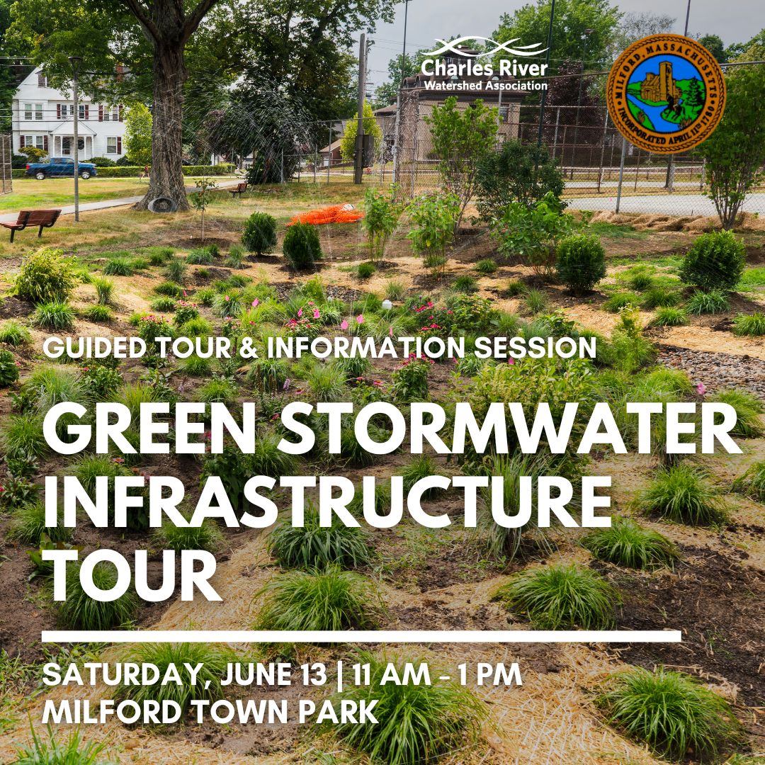 Milford Green Stormwater Infrastructure Tour