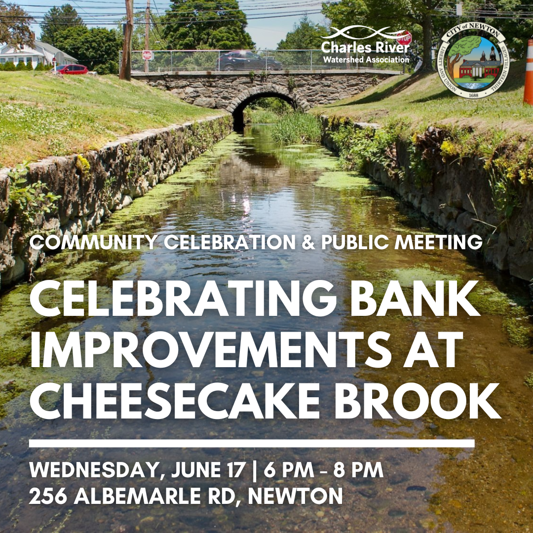 Celebrating Bank Improvements at Cheesecake Brook