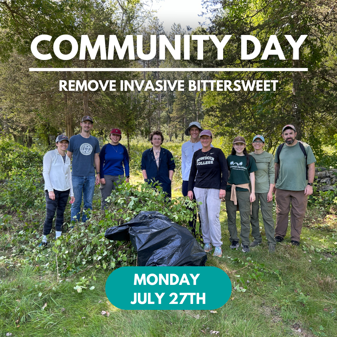 Community Bittersweet Removal