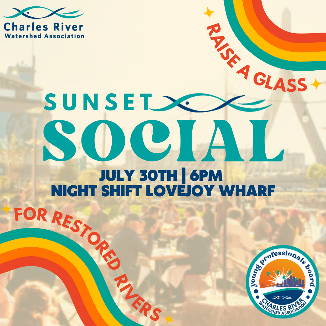 Sunset Social