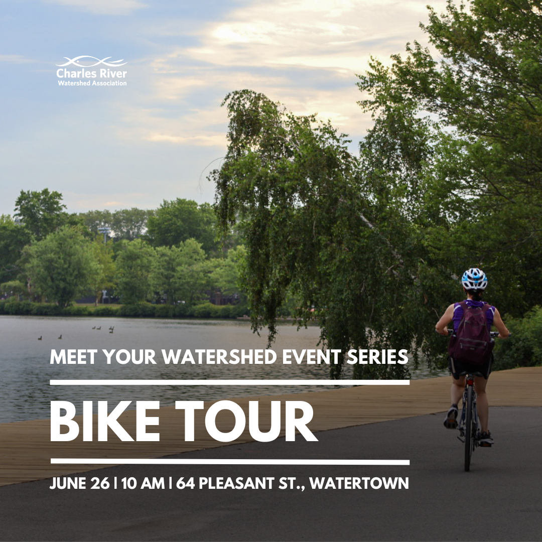 Meet Your Watershed: Bike Tour