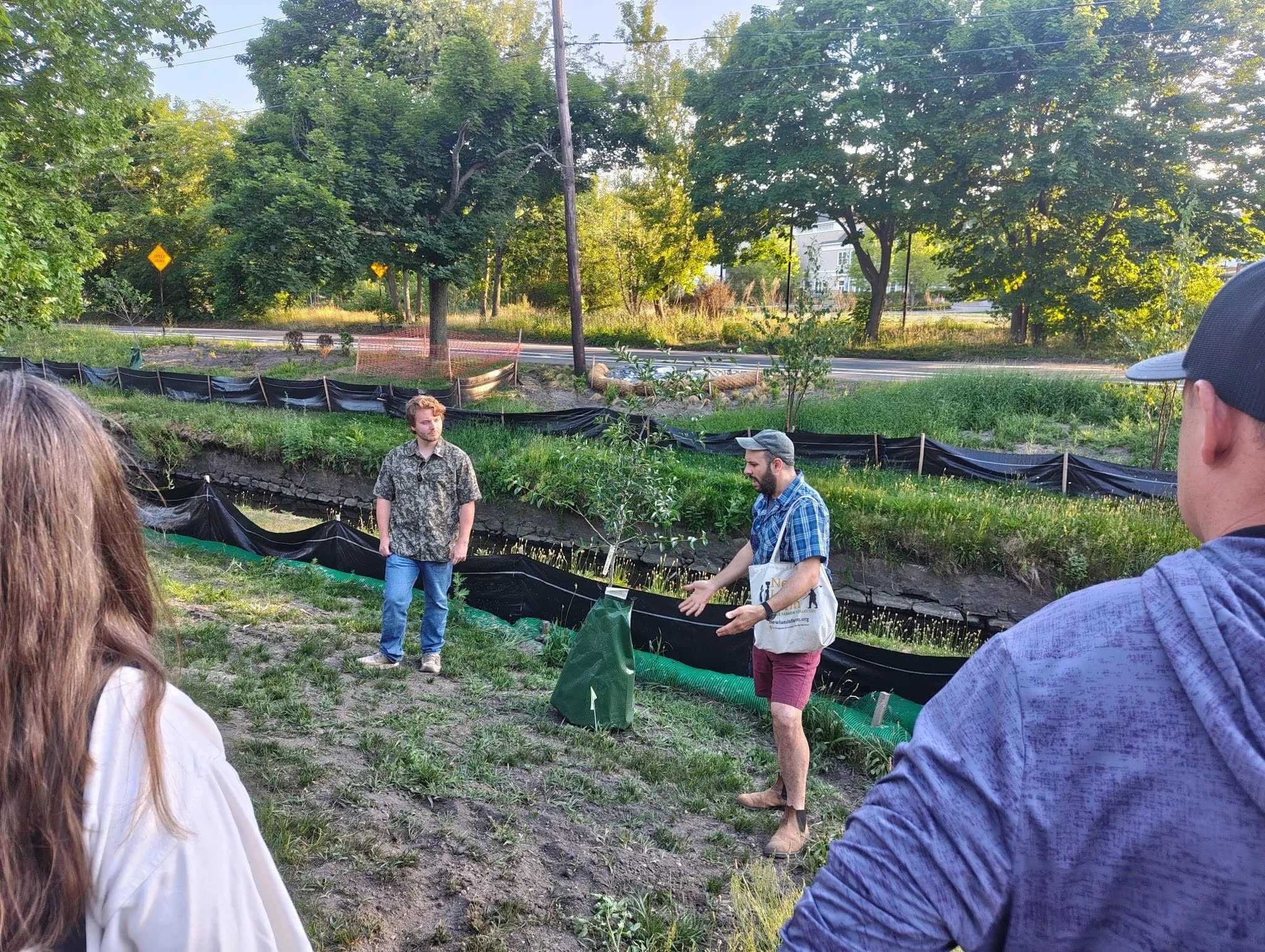 meadow_maintenance_2.jpg