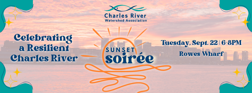 Sunset Soirée Harbor Cruise
