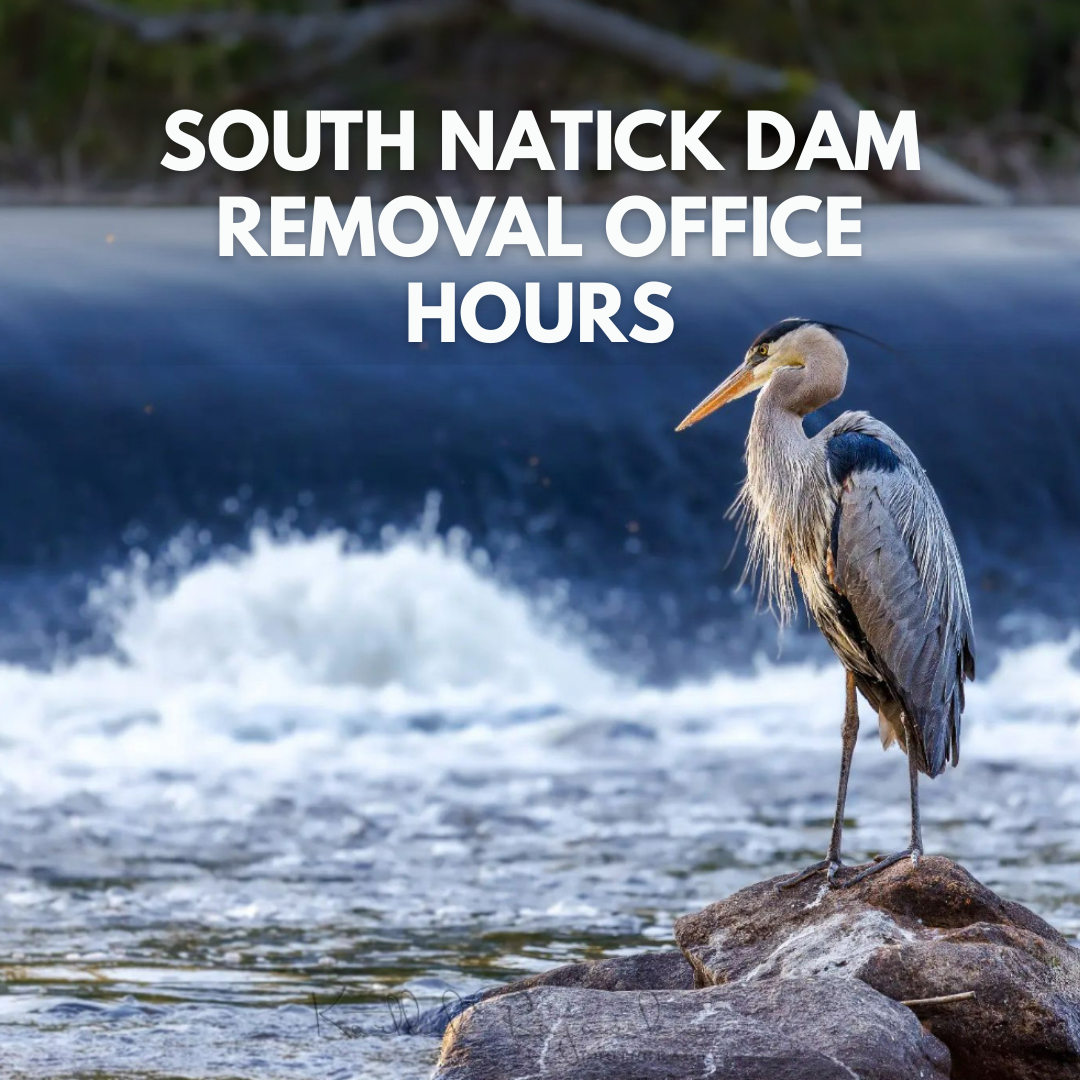 South Natick Dam Removal Office Hours