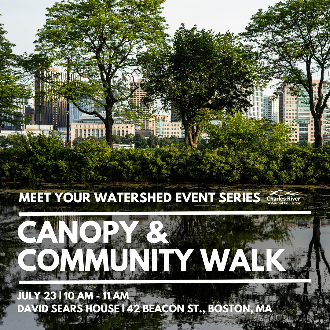 Meet Your Watershed: Canopy & Community Walk