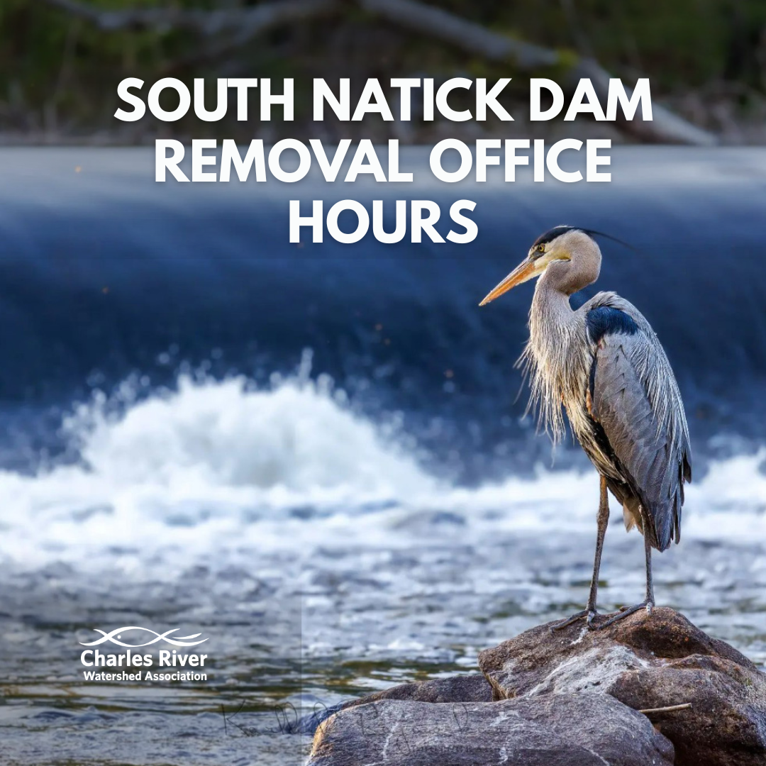 South Natick Dam Removal Office Hours