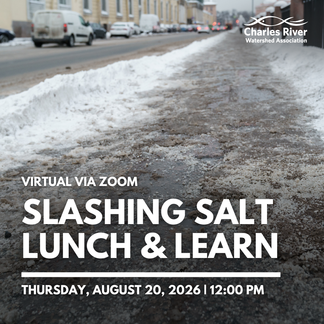 Slashing Salt Lunch and Learn