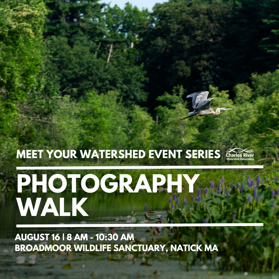 Meet Your Watershed: Photography Walk