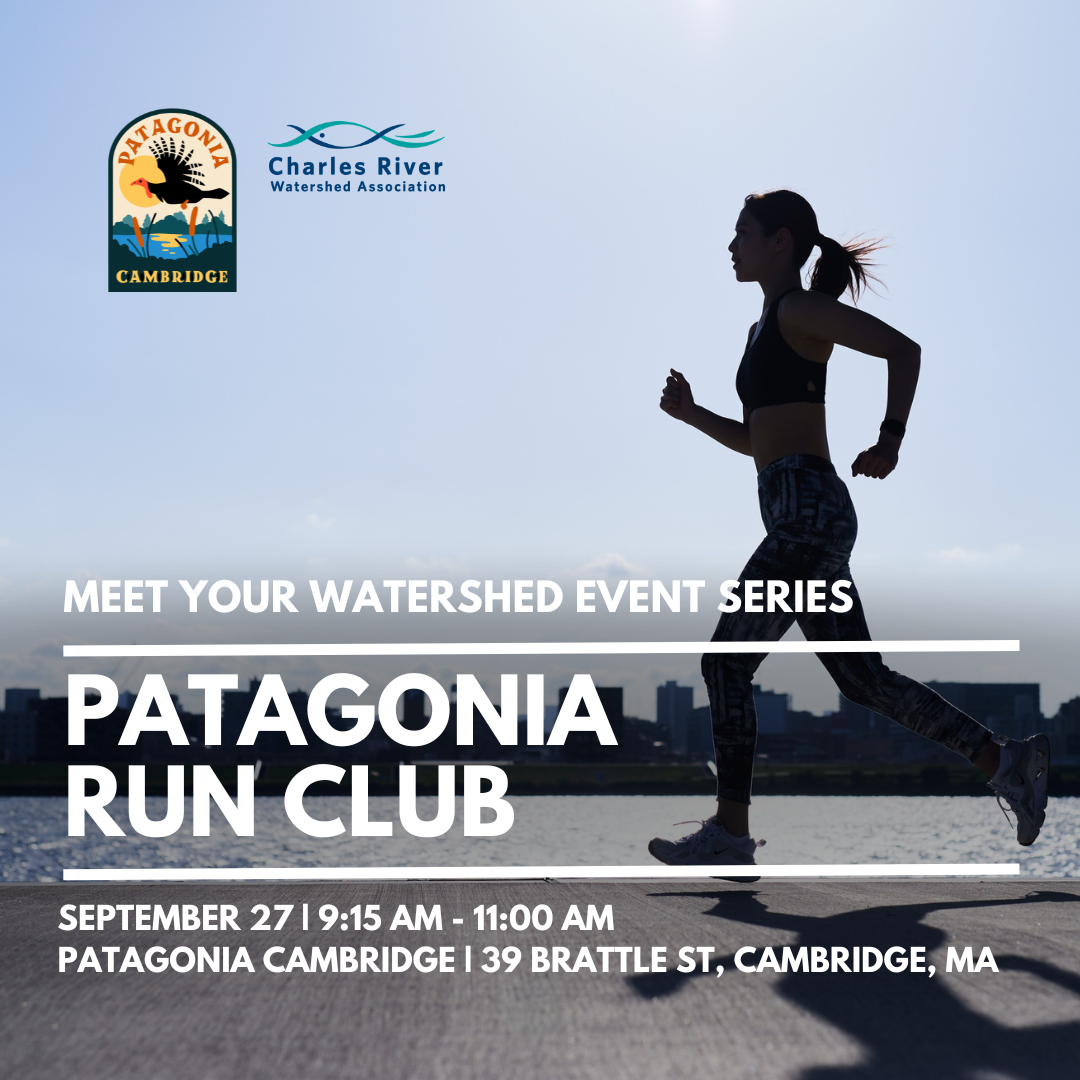 Meet Your Watershed: Patagonia Run Club