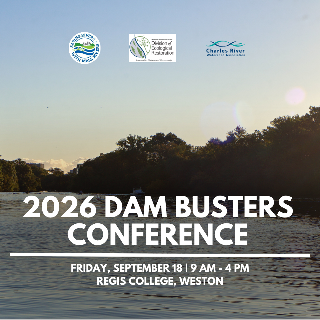 2026 Dam Busters Conference
