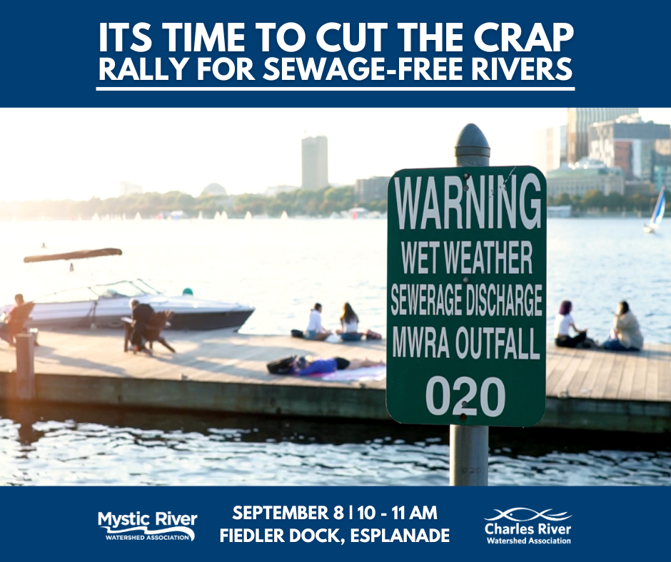 It’s Time to Cut The Crap: Rally for Sewage-Free Rivers