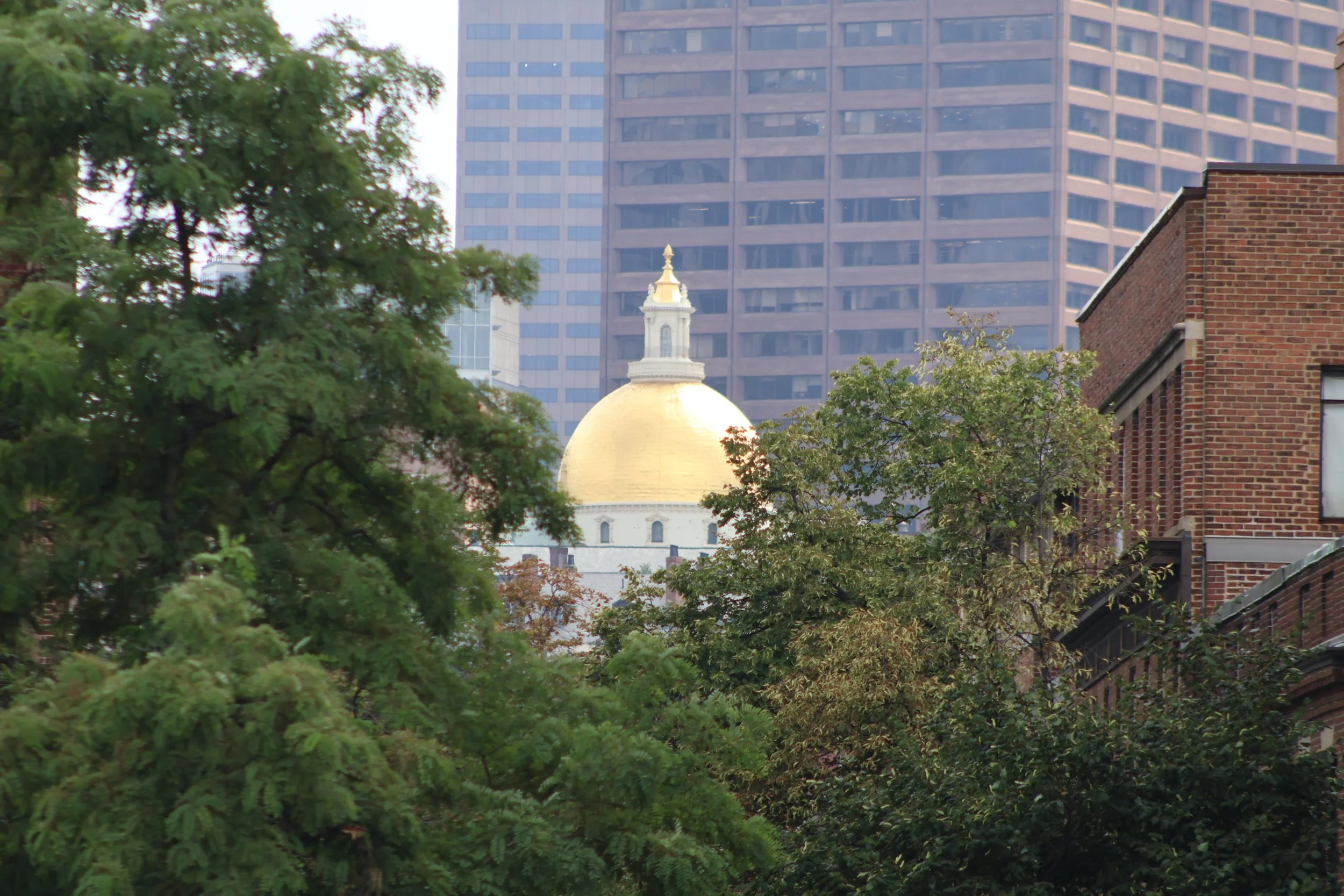 Reflections in Advocacy