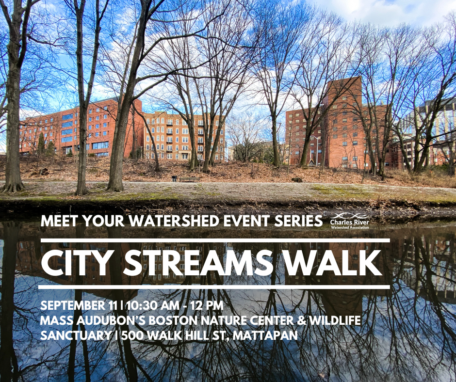 Meet Your Watershed: City Streams Walk