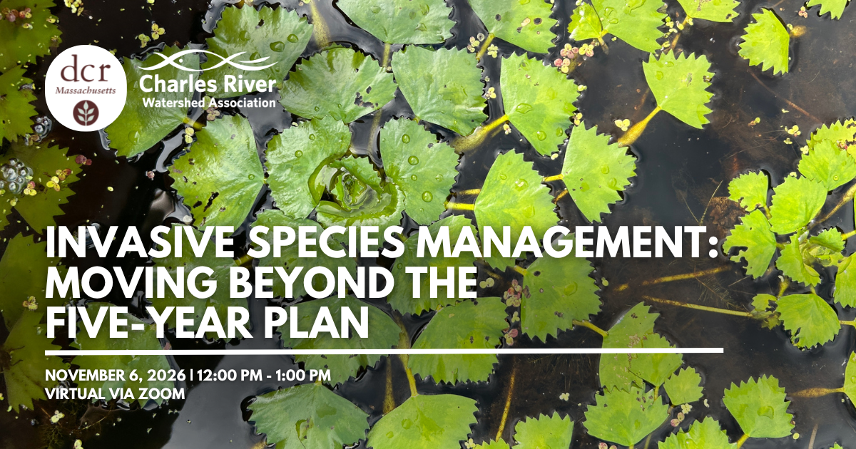 Invasive Species Management: Moving Beyond the Five-Year Plan