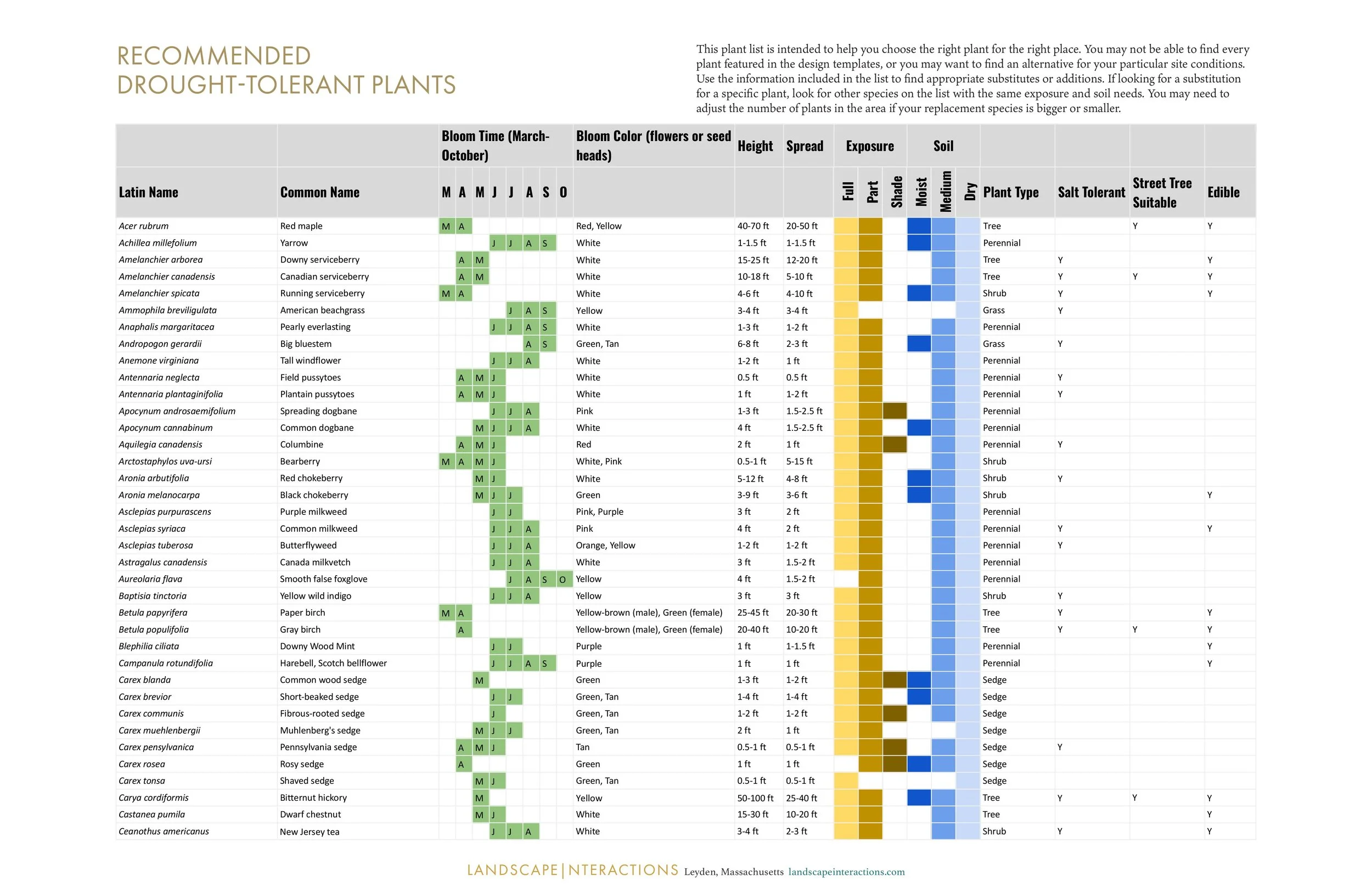 LandscapeInteractions_13.jpg