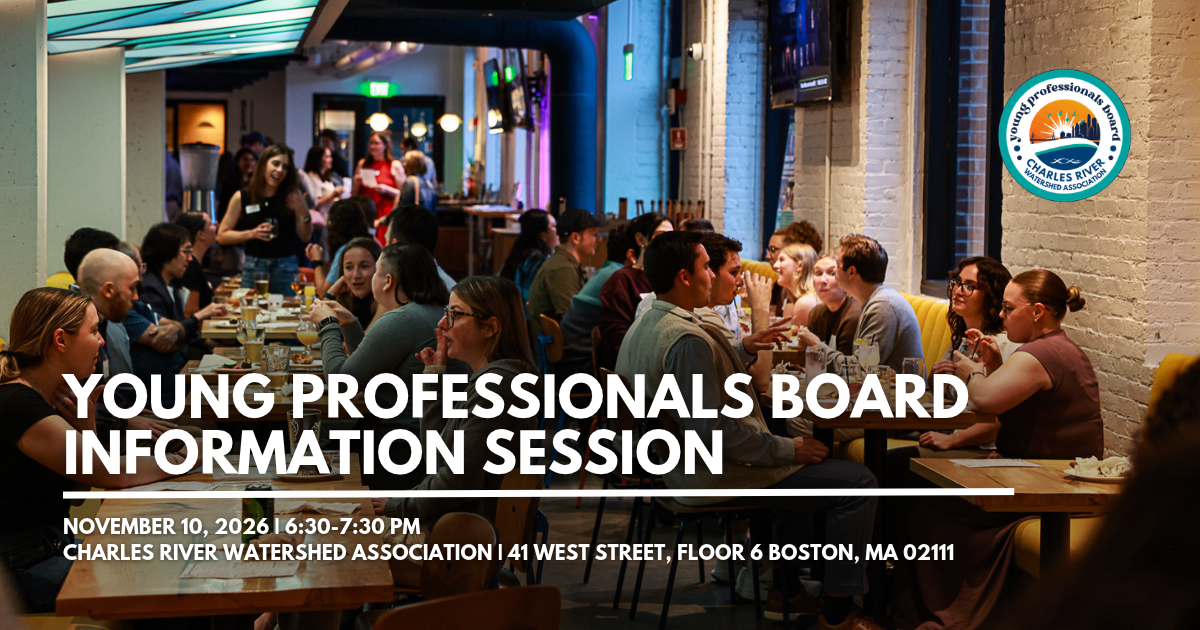 Young Professionals Board Information Session