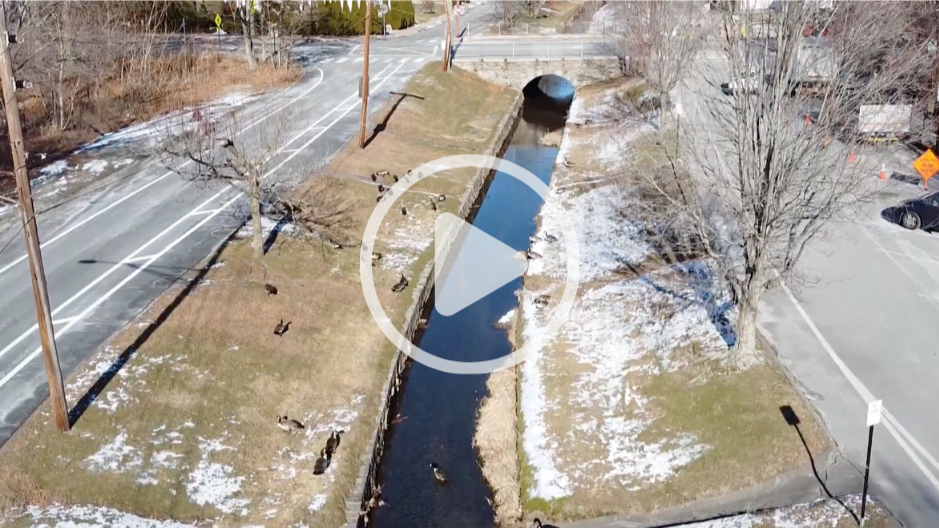 Watch Now: Cheesecake Brook Restoration Video