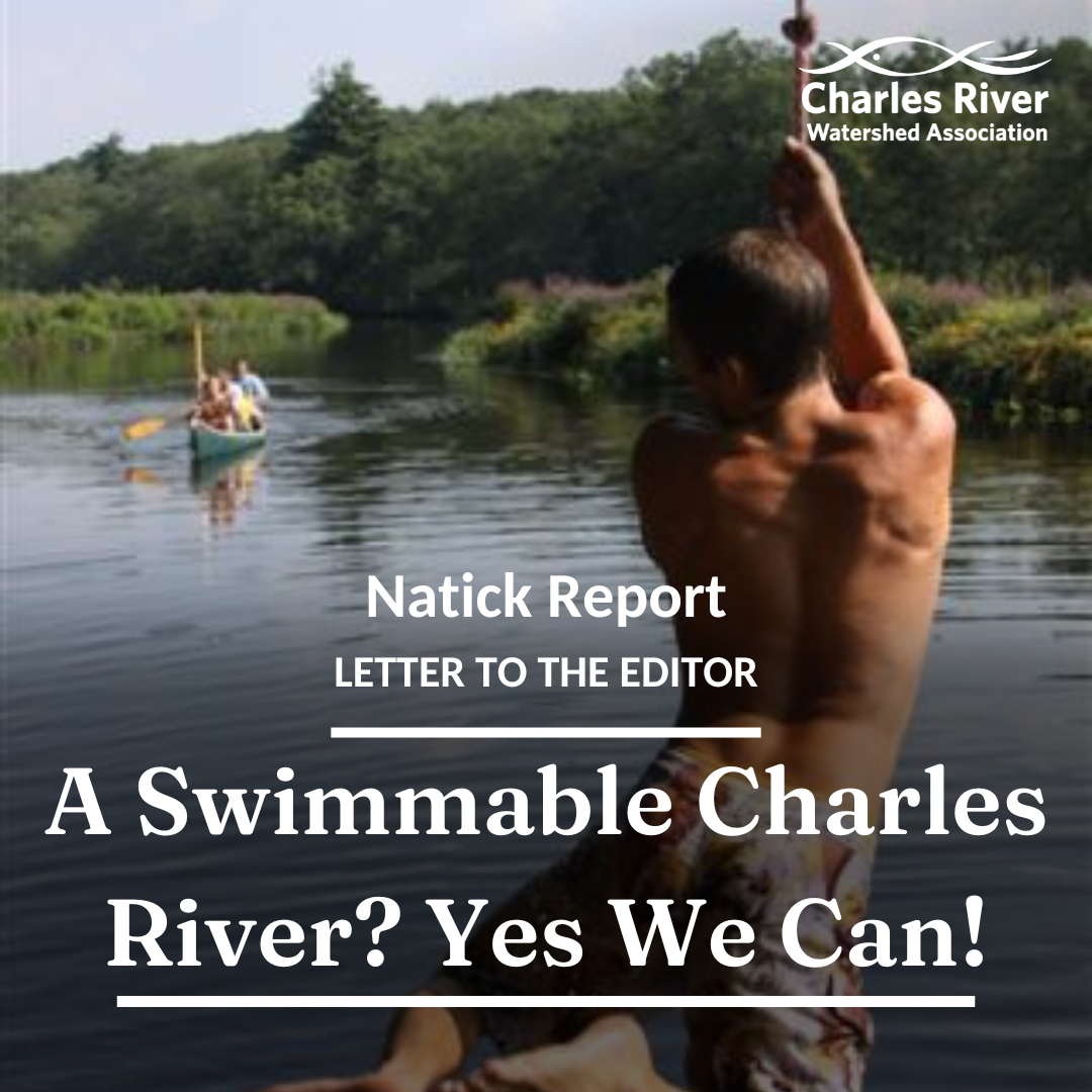 A swimmable Charles River? Yes we can! — Letter to the Editor — Charles ...