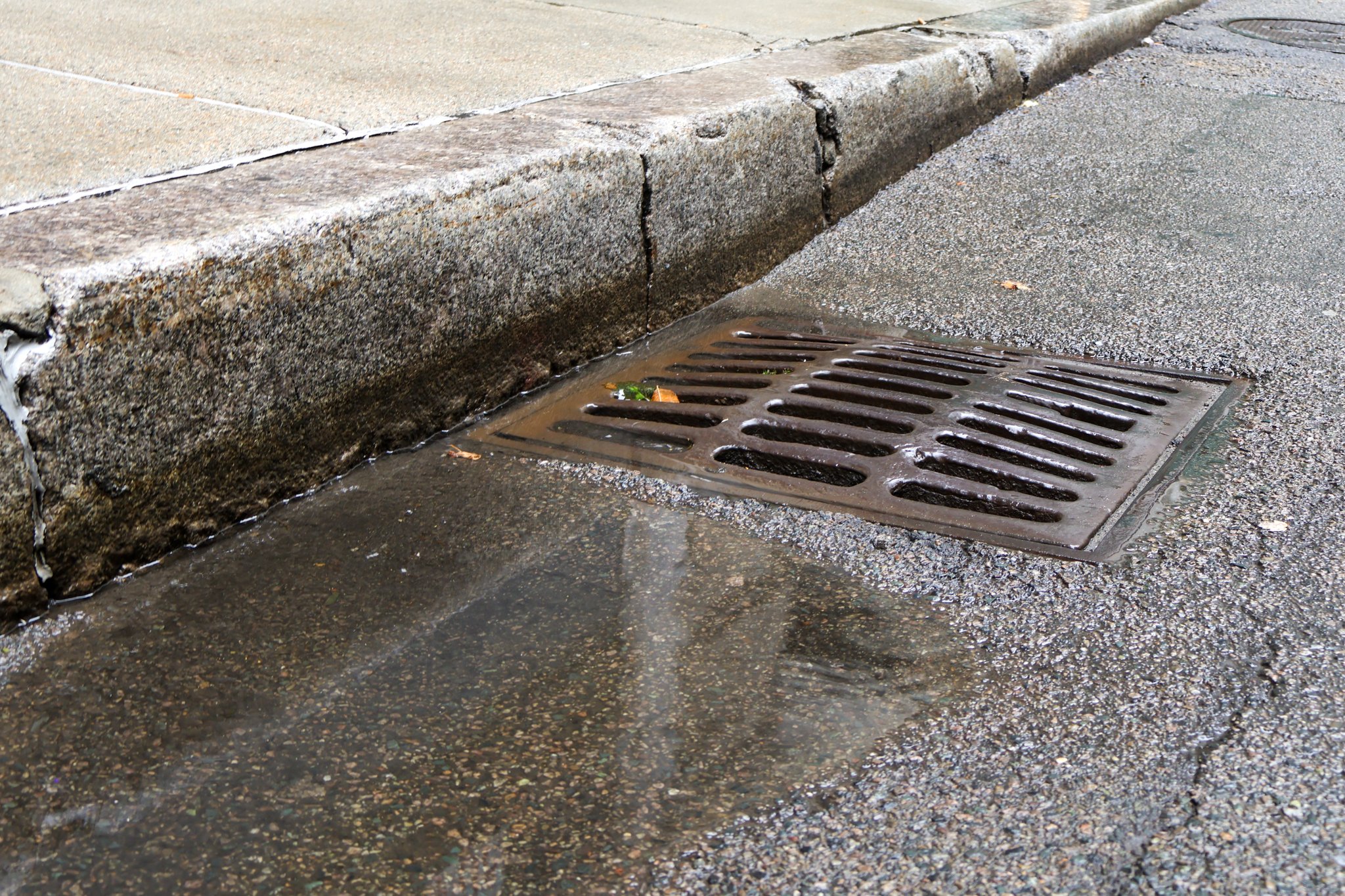 A puddle of rainwater on a paved road near a stormdrain
