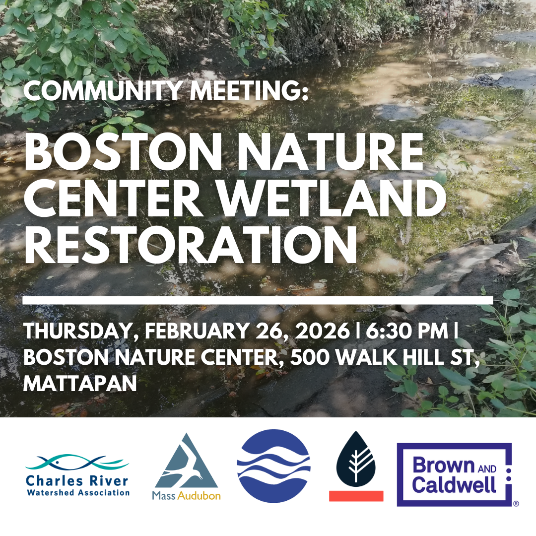 Boston Nature Center Wetland Restoration Community Meeting