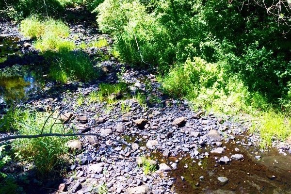 CRWA Defends Drought-Related Water Conservation Measures in Court