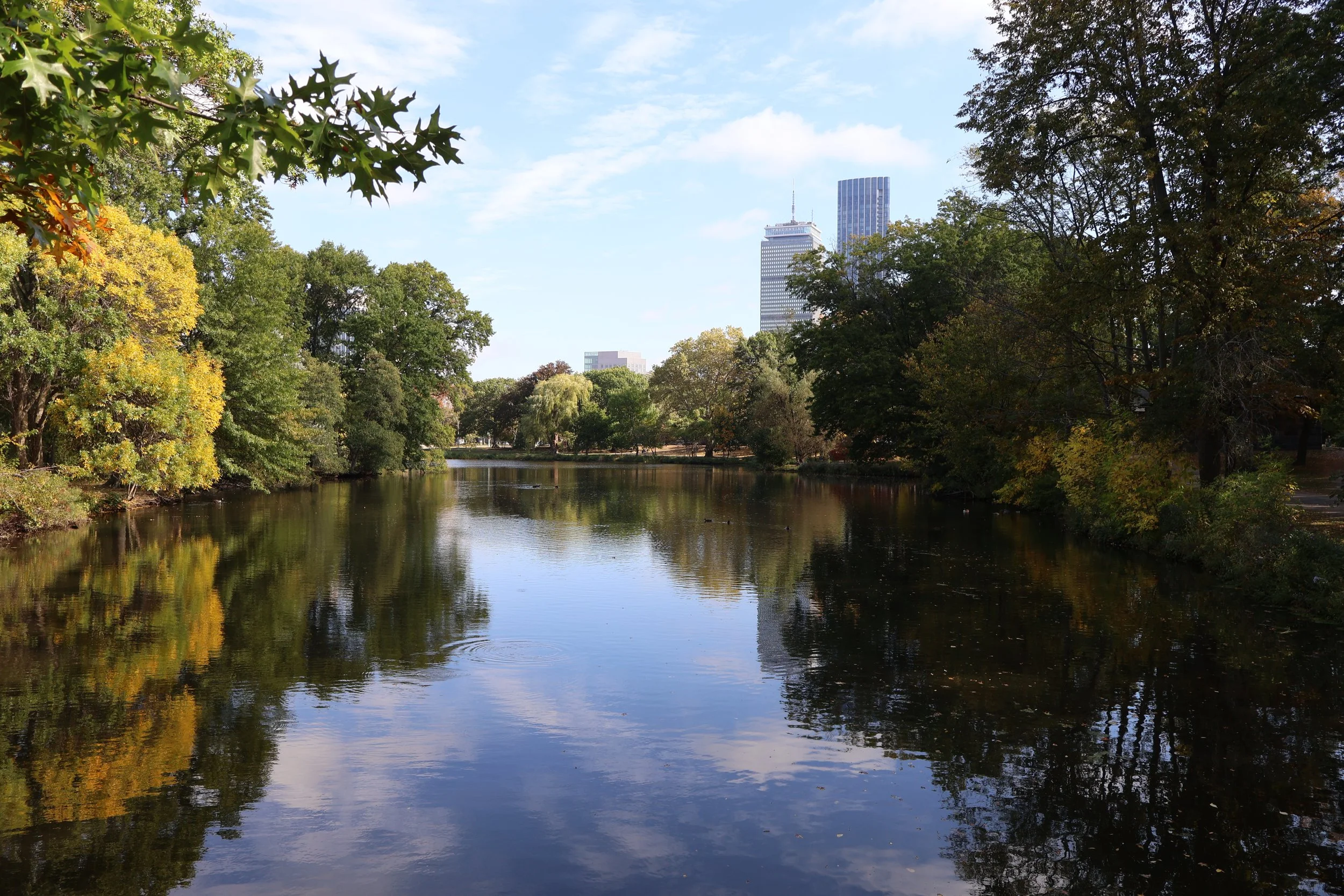 Common-Sense Outdoor Watering Restrictions During Droughts Withstand Legal Challenge (Press Release)