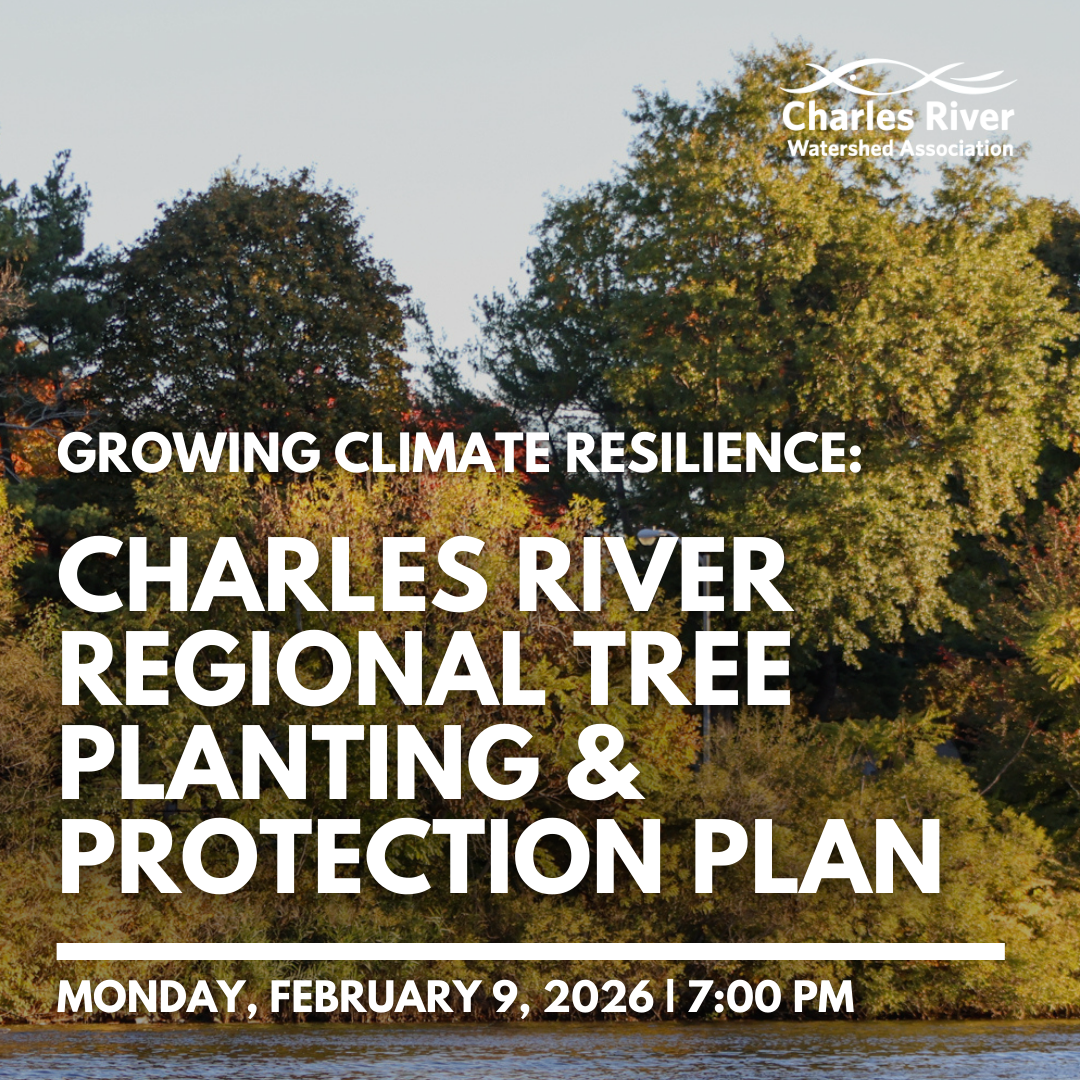 Growing Climate Resilience: The Charles River Regional Tree Planting & Protection Plan
