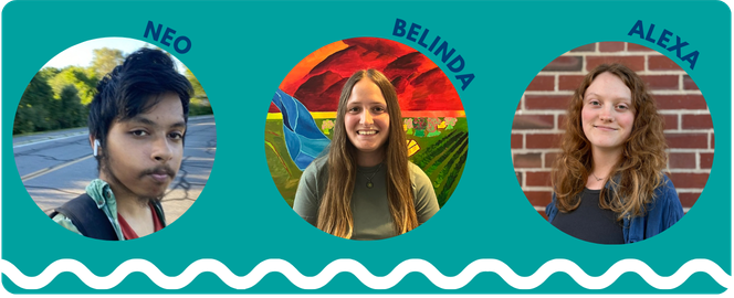 Meet Our Fall Interns