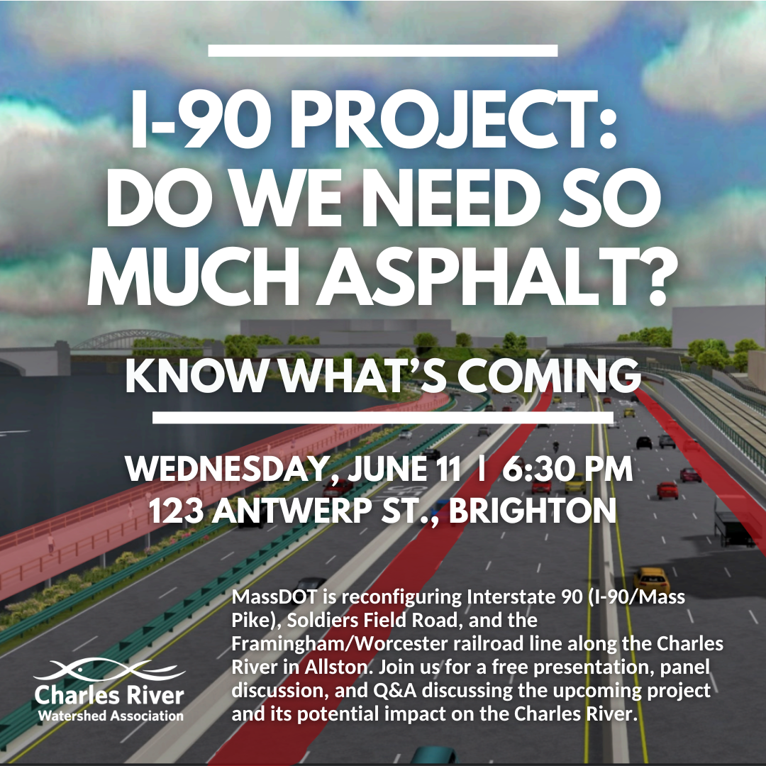 I-90 Project: Do we need so much asphalt?