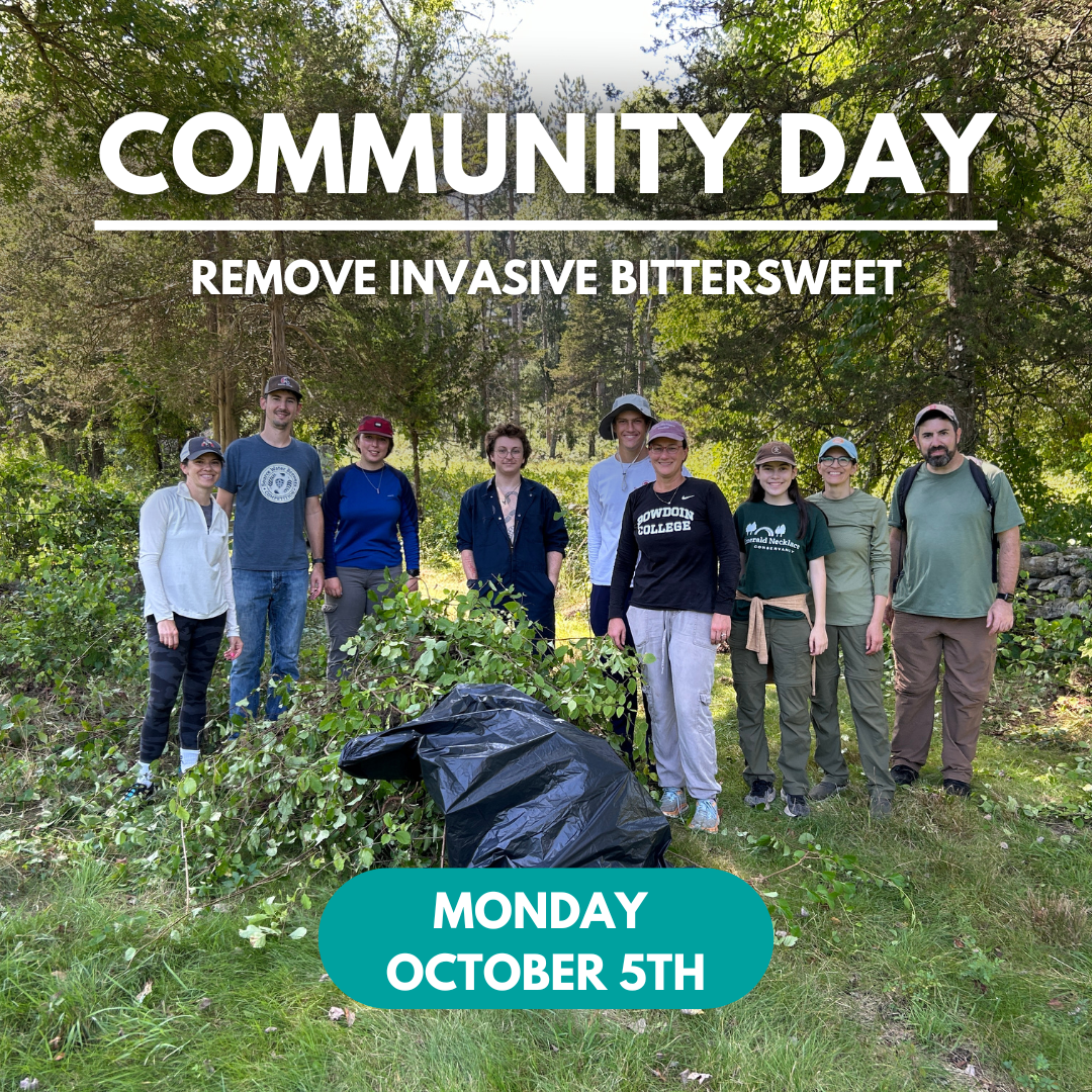 Community Bittersweet Removal