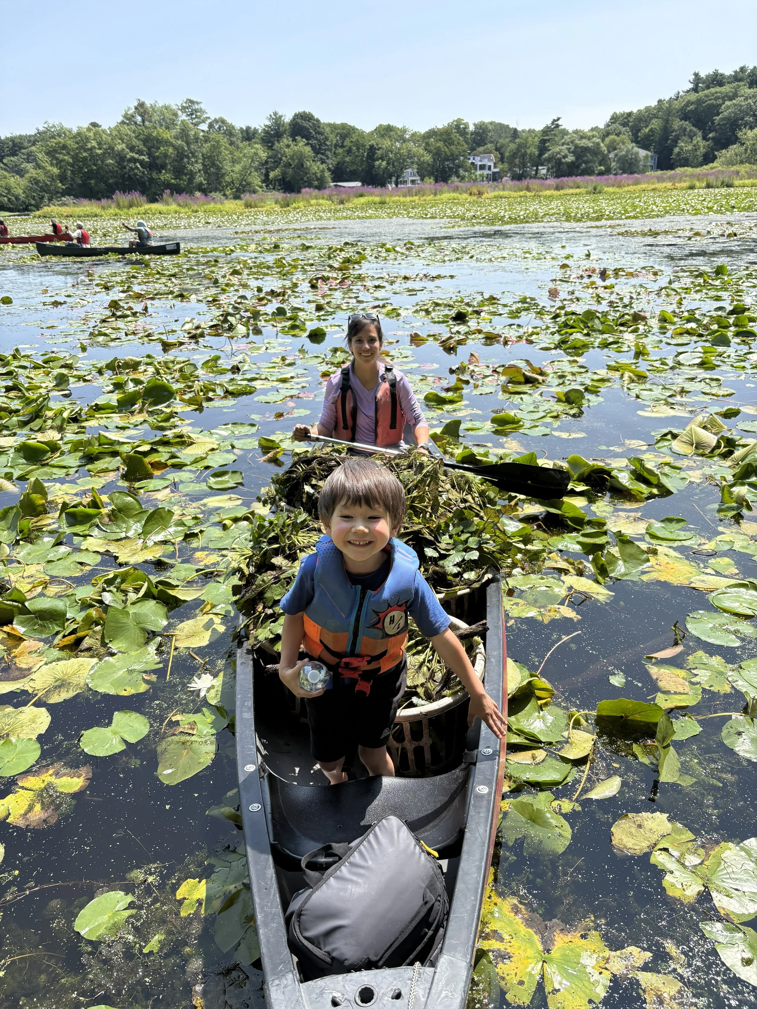 9,700 Pounds of Water Chestnut Removed