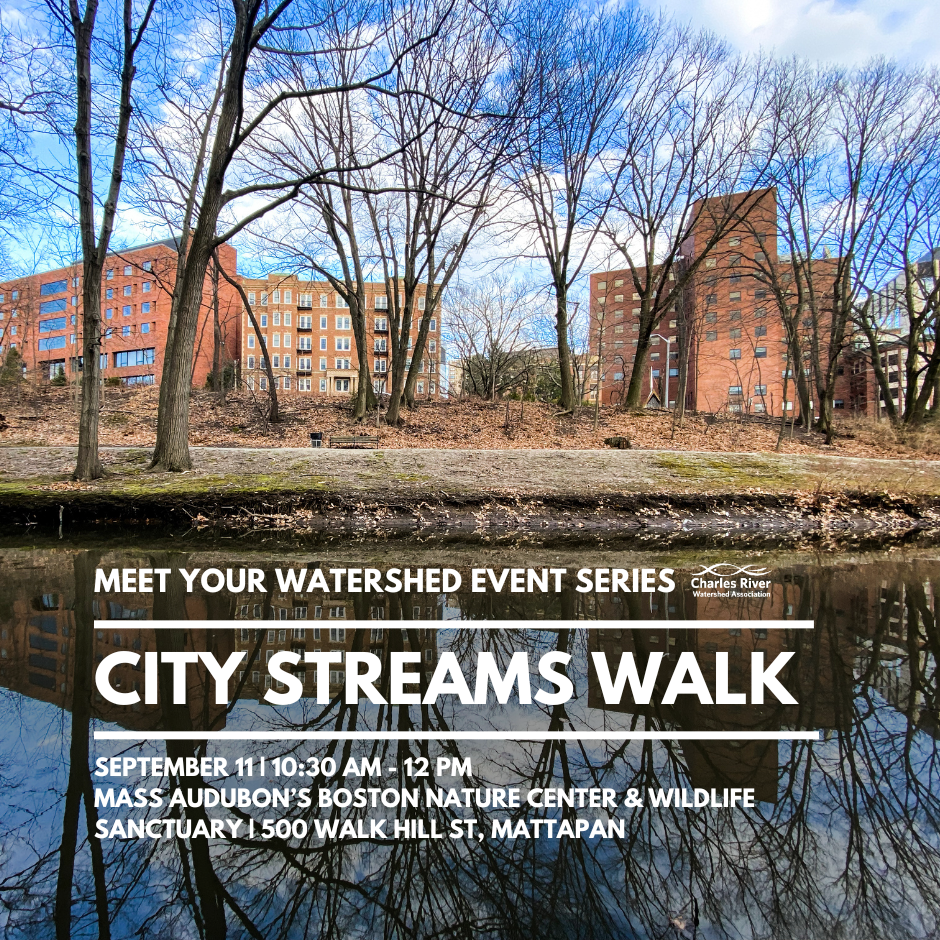 MYW City Streams Walk (940 x 940 px).png
