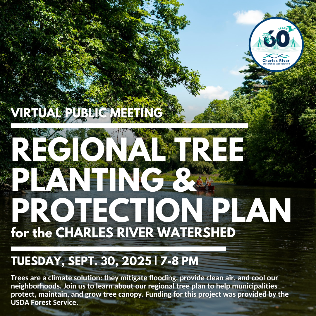 Regional Tree Planting and Protection Plan — Charles River Watershed ...