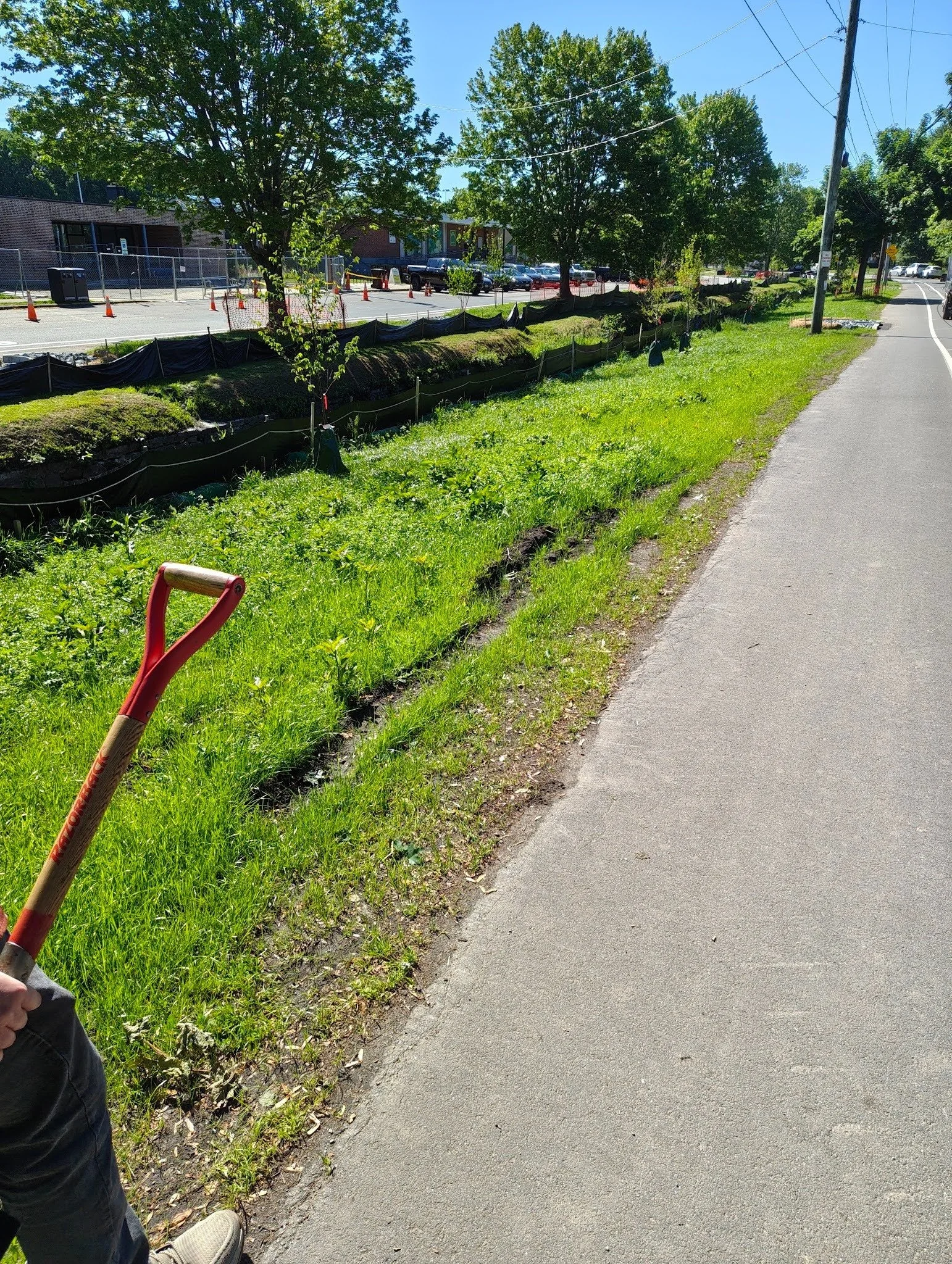 Cheesecake Brook Wet Meadow and Bank Restoration Maintenance