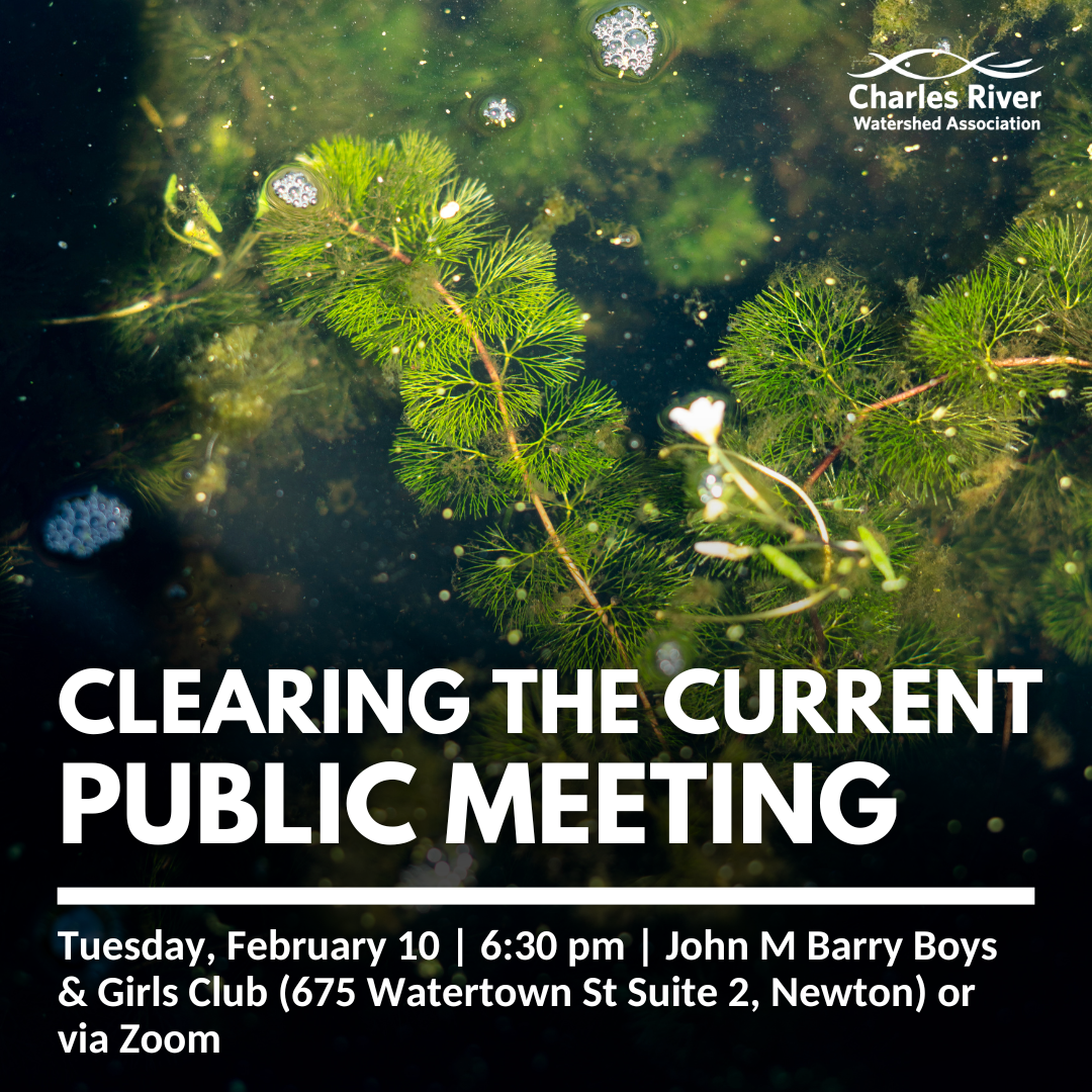 Clearing the Current Public Meeting
