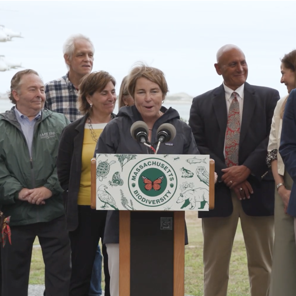 Governor Healey Launches Nation-Leading Biodiversity Initiative