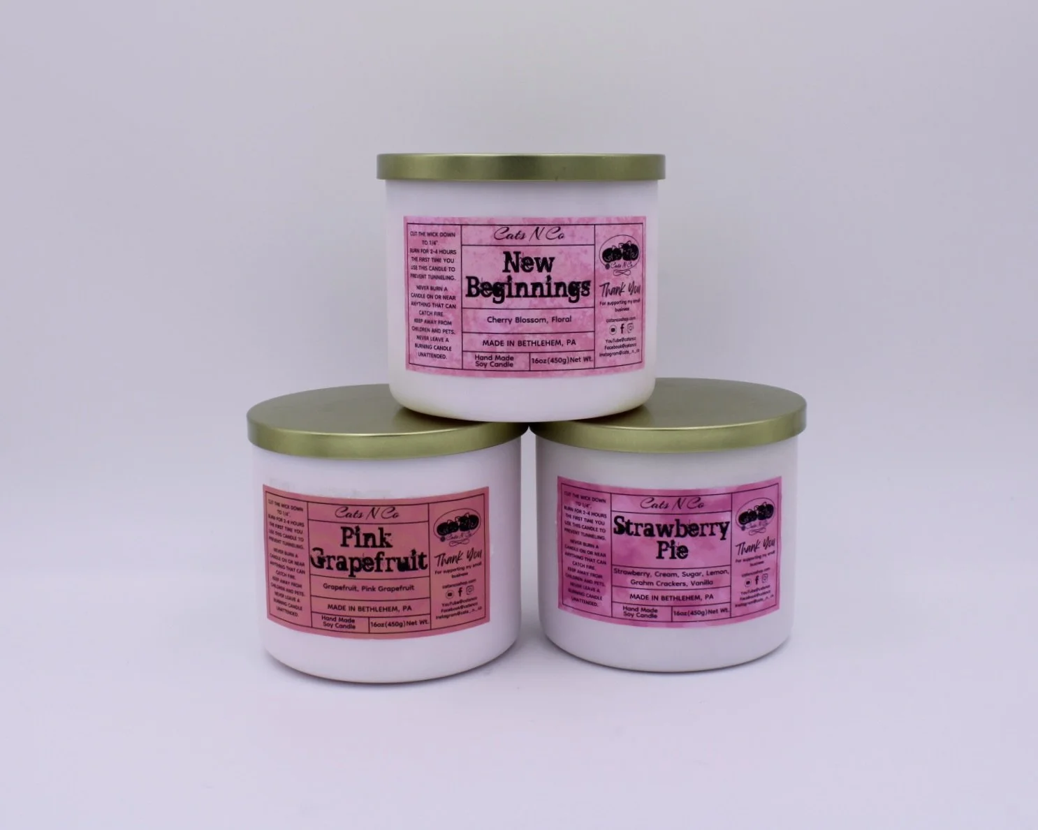 New Beginnings Cherry Blossom, Pink Grapefruit, Strawberry Pie Medium Candle Bundle