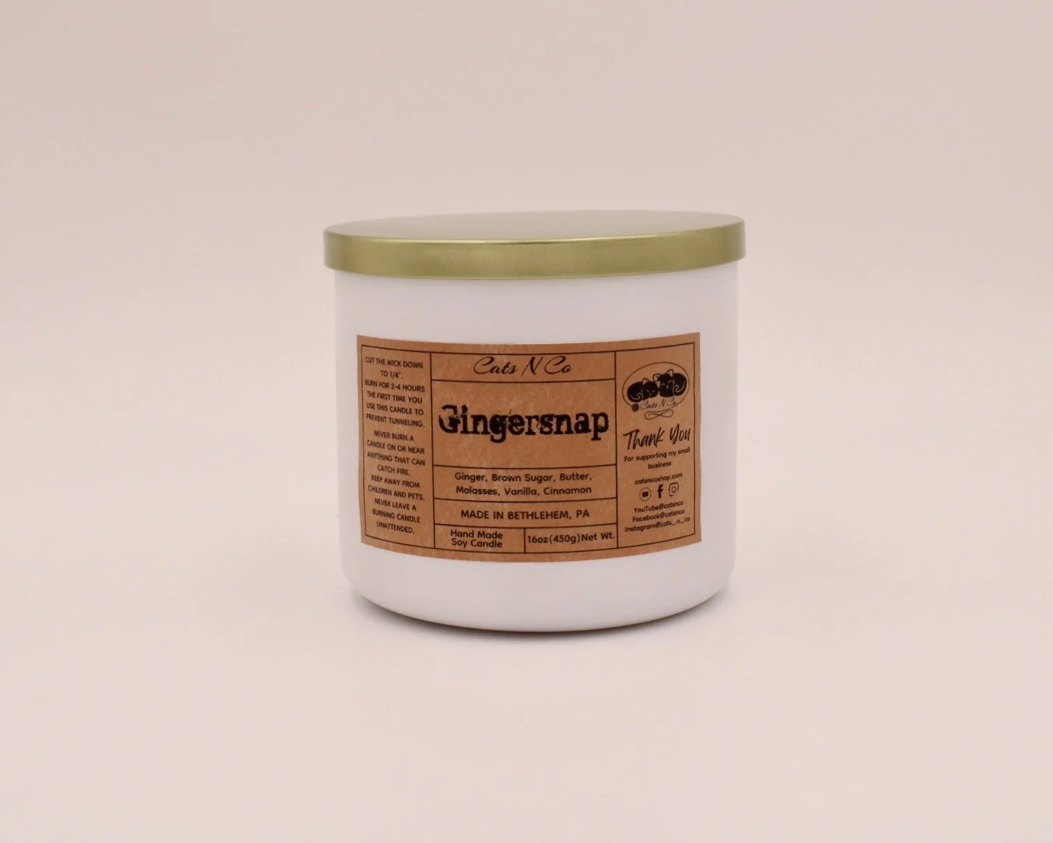 gingersnap large candle catsnco.JPG