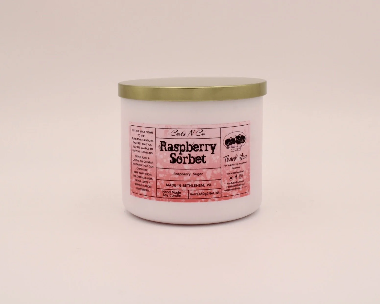 raspberry sorbet large candle catsnco.JPG
