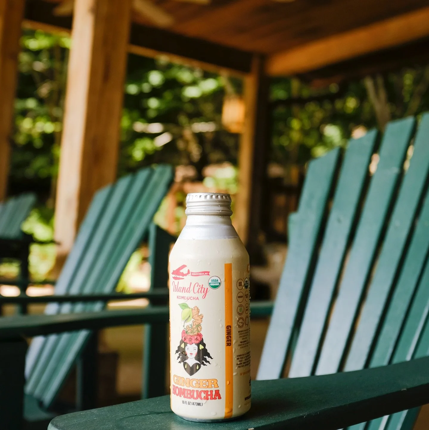 Dock hangs + that 🫚 kick = the perfect pair 🤝 When&rsquo;s your favorite time to crack one open?!

#Organic #Kombucha #Raw #Probiotics #Lakedays #summervibes☀️