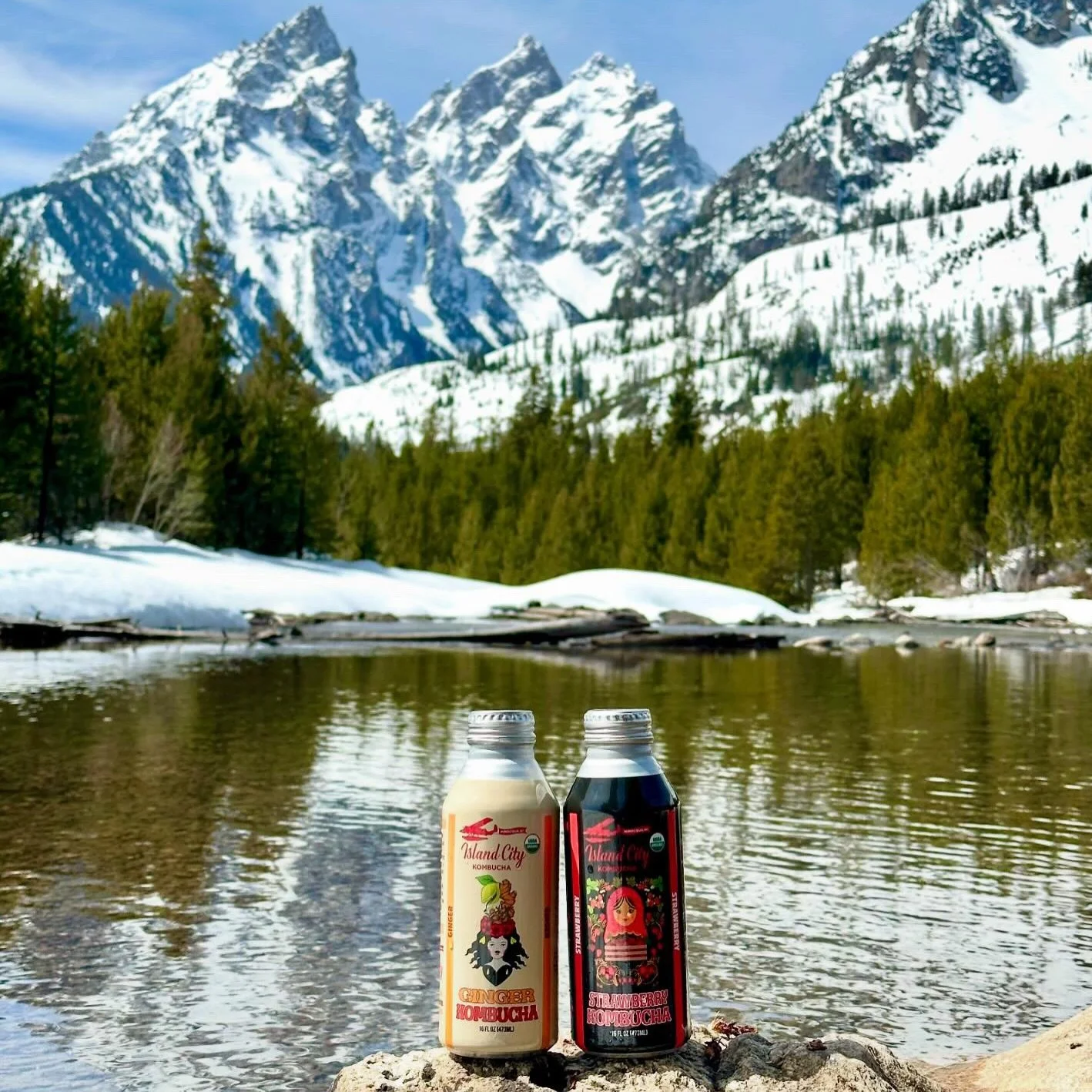 Fresh air, clear heads, &amp; a view worth pausing for !! Thanks @clairebegalke for choosing island city as your trail companion 📸🏔️🌲😊