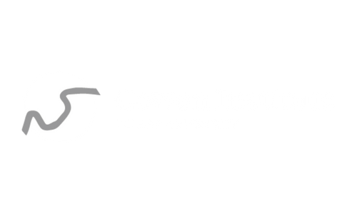 Cowen Institute B&W logo.png