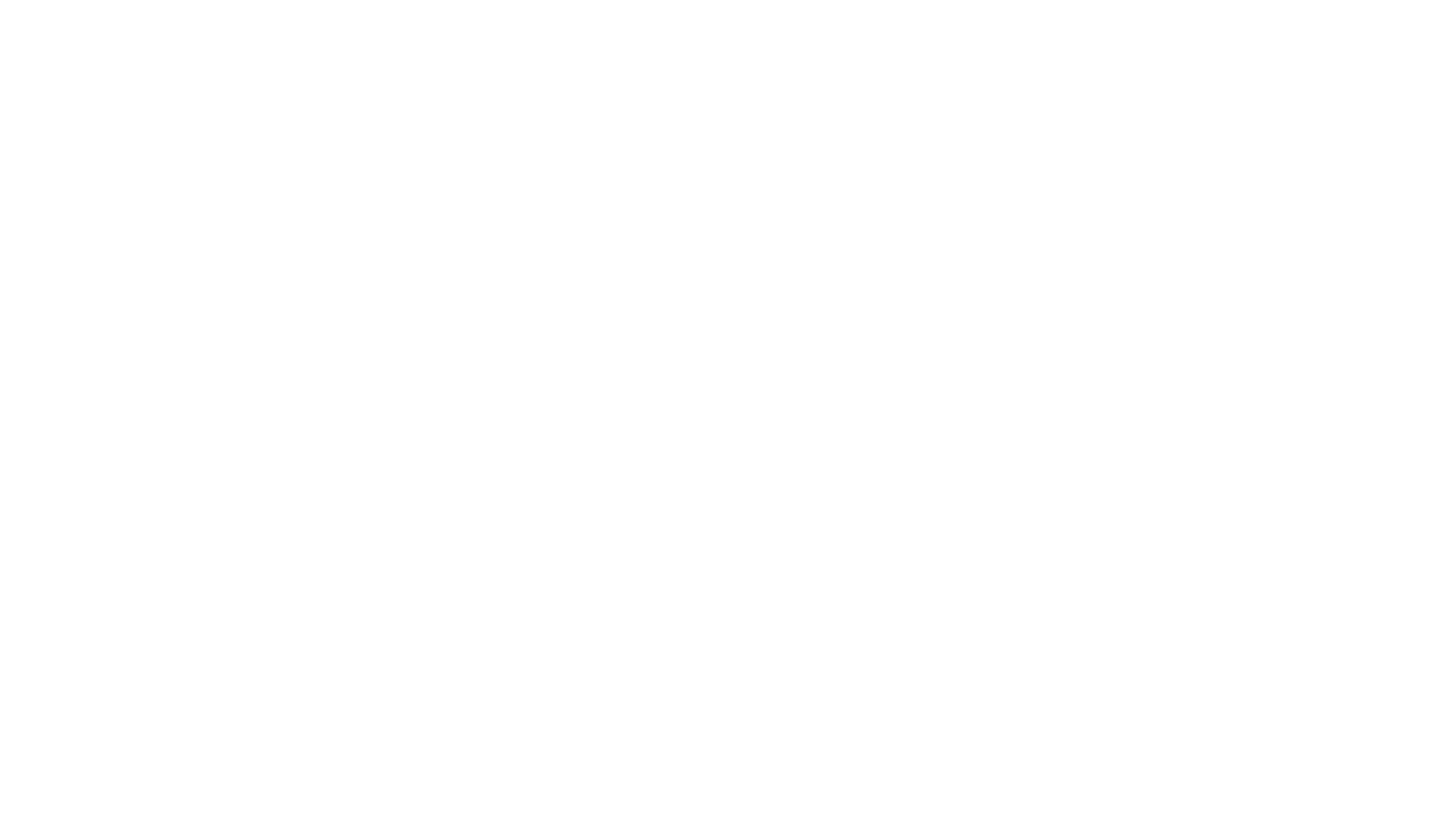 New Direction Logo White.png