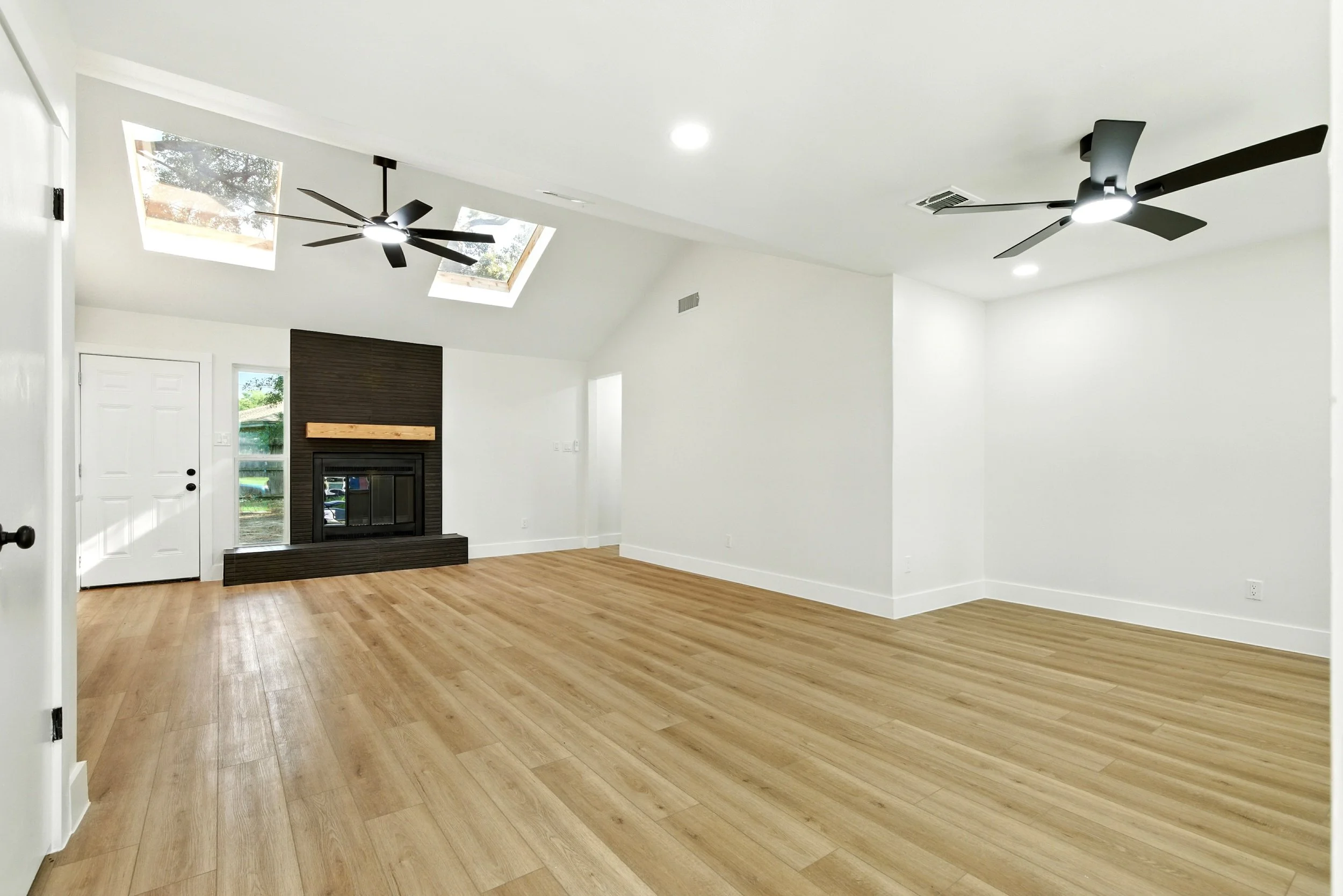 6214 spruce forest_ (2).jpg