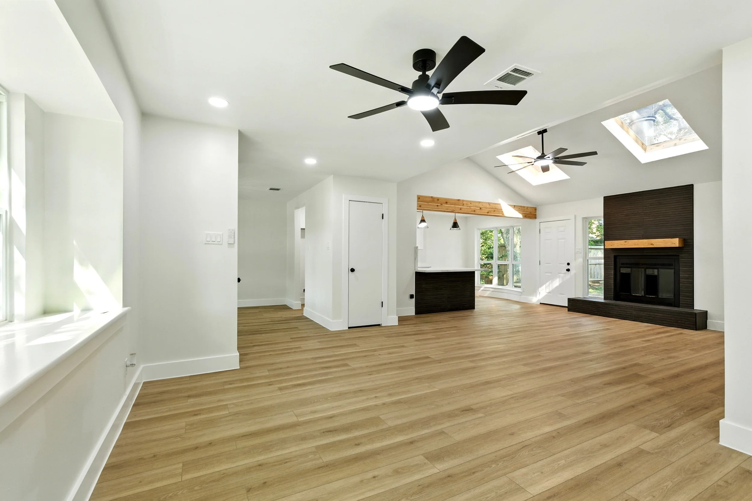 6214 spruce forest_ (3).jpg