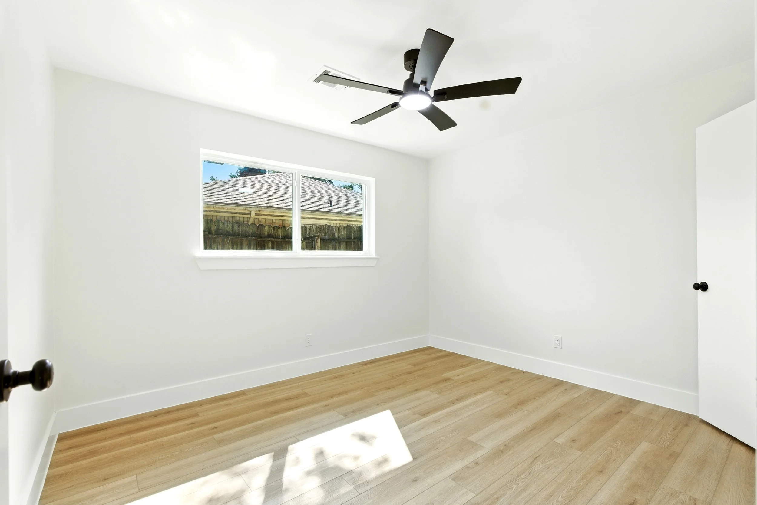 6214 spruce forest_ (14).jpg