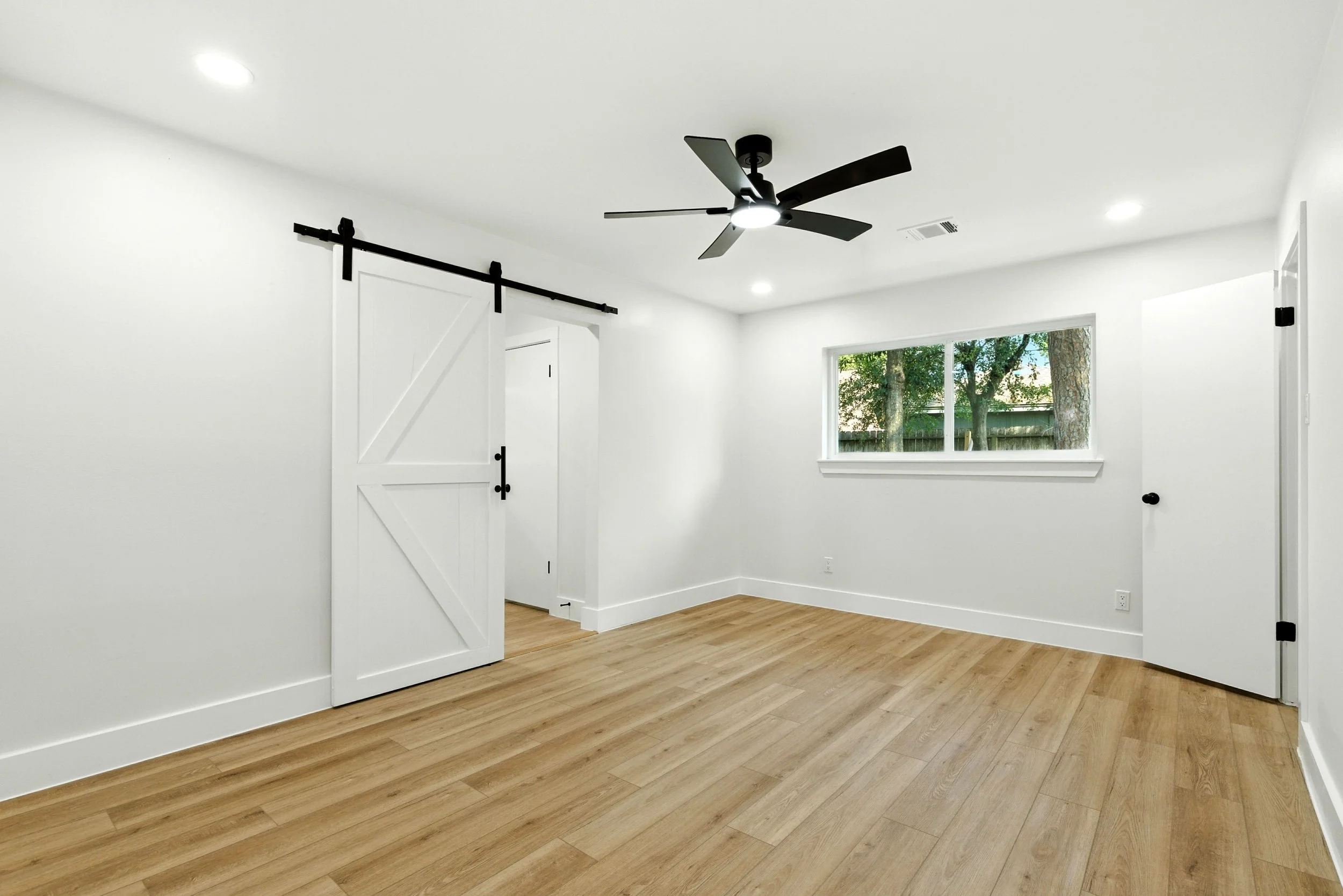 6214 spruce forest_ (21).jpg